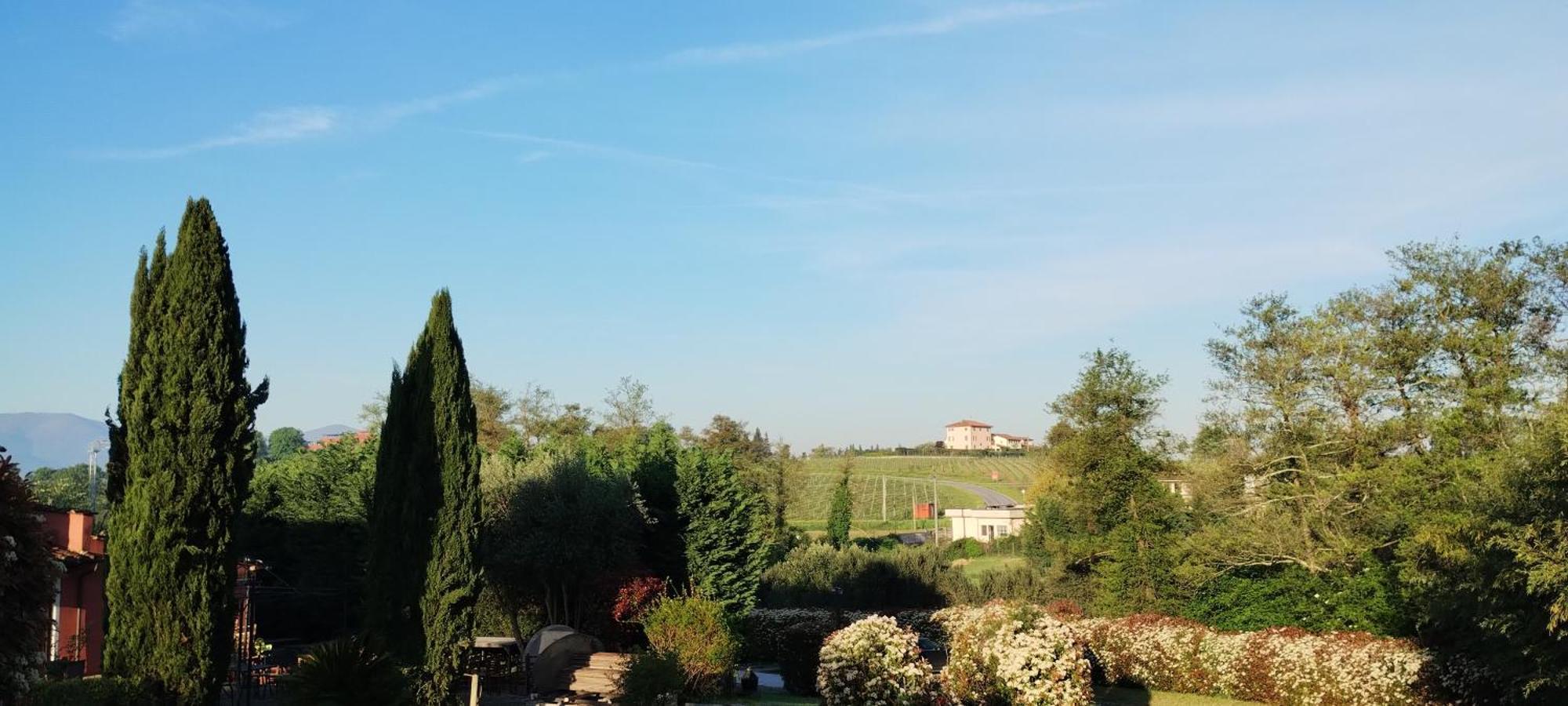 Al Sangallo Agriturismo Montecarlo Eksteriør bilde