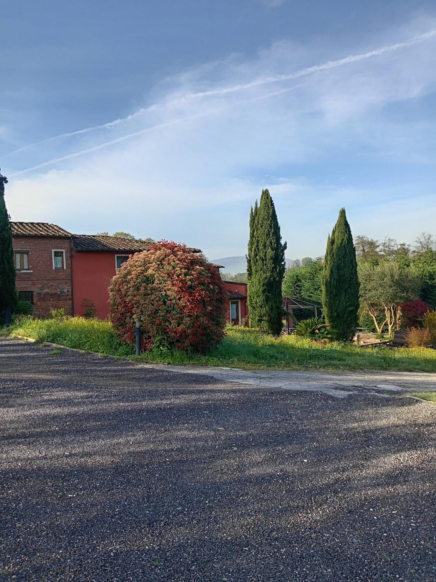 Al Sangallo Agriturismo Montecarlo Eksteriør bilde