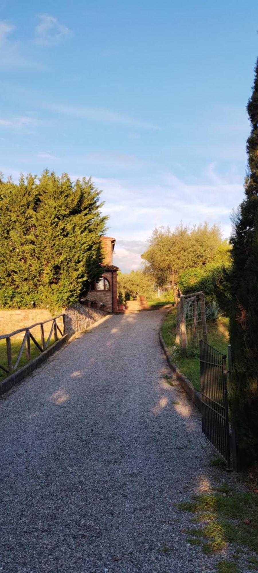 Al Sangallo Agriturismo Montecarlo Eksteriør bilde