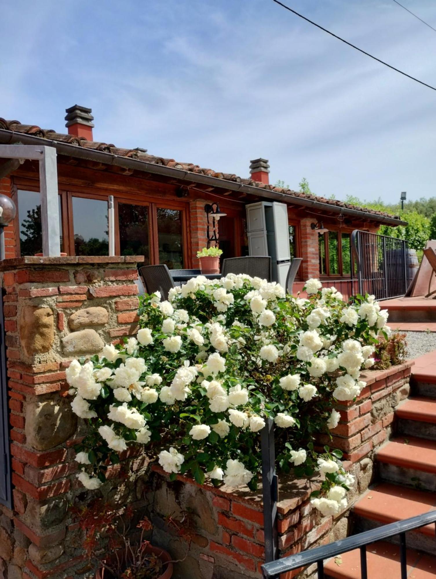 Al Sangallo Agriturismo Montecarlo Eksteriør bilde